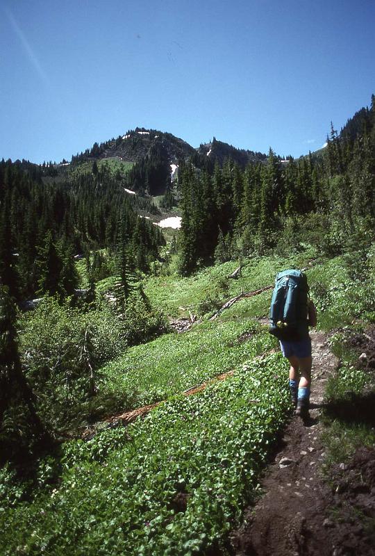 Bailey Trav 004 Aug-1989 Appr Appleton Pass.jpg